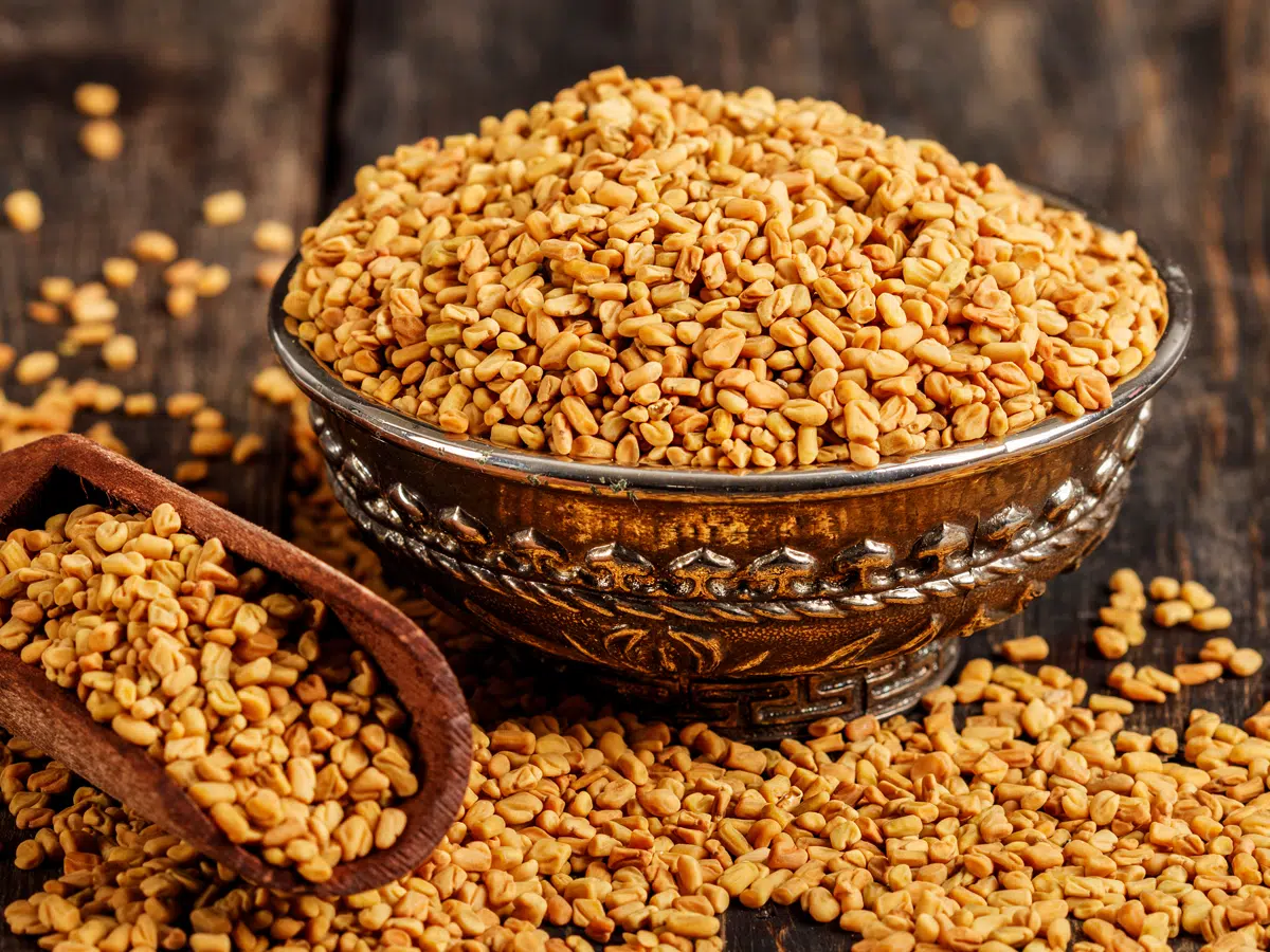 Fenugreek - Metabolic Health Support - Sugar Harmony Vitality Formula